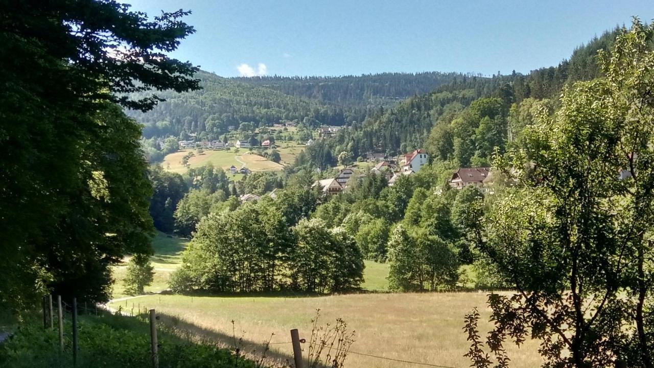 Apartmán Alb-Rosa Bad Herrenalb Exteriér fotografie