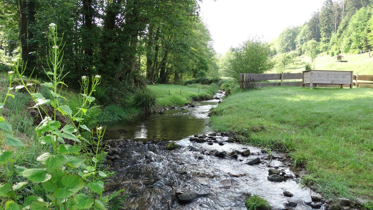 Apartmán Alb-Rosa Bad Herrenalb Exteriér fotografie